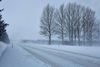 Bornholm fik tirsdag 30 cm sne. Foto: Pelle Rink/Ritzau Scanpix