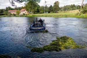 Silkeborgs borgmester, Steen Vindum (V), igangsatte i september en ekstraordinær grødeskæring – nu er der indgivet to klager.
