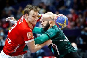 Ungarn fik ikke et ben til jorden i kvartfinalen mod Danmark, erkender stregspilleren Miklos Rosta.