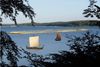 Roskilde Fjord er omdrejningspunktet i den kommende Nationalpark Skjoldungelandet.