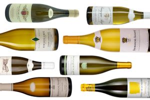 Er du også ulykkeligt forelsket i ubetalelig hvid bourgogne, så kan der være trøst at finde i aligoté-vinene, der i de senere år har genvundet selvrespekten og leverer et velsmagende alternativ til områdets vinøse mastodonter.