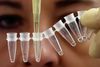 Det er DTU, som har gjort fundet af P1-varianten, som oprindeligt blev opdaget i Brasilien. Resultatet er efterfølgende blevet bekræftet af SSI. Arkivfoto: Boris Roessler