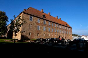 Energikrisen har ramt museerne, hvor flere og flere vinterlukker afdelinger. Det haster med en økonomisk hjælpepakke, lyder det.
