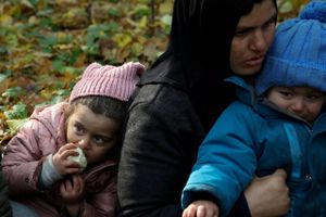 Flere medlemslande har beskyldt Hviderusland for med vilje at føre migranter mod EU's grænser for genere EU.