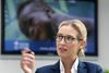 Mange undrede sig, da den 38-årige Alice Weidel blev valgt som AfD's spidskandidat. Hun er lebisk og kosmopolitisk, men huserer altså i et nationalkonservativt parti, som hylder den heteroseksuelle kernefamilie. Foto: Michael Sohn/AP
