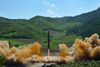 Dette billede viser angiveligt det såkaldt interkontinentale ICBM-missil, som kan bære atomvåben - og som Nordkorea testede tirsdag. Foto: Korean Central News Agency/Korea News Service via AP