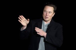 Twitter får ny topchef, når Elon Musk finder en, der er "tåbelig" nok til at overtage stillingen, skriver han.
