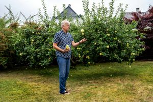 Portræt: Karsten Dybvad, der er blevet senior fellow i en tænketank, har fået bedre tid til børnebørn og litteratur efter en årrække som topembedsmand, DI-direktør og bestyrelsesformand for Danske Bank.