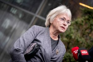 Dansk Folkepartis stifter og tidligere formand Pia Kjærsgaard afgav fredag forklaring i Messerschmidt-sag.