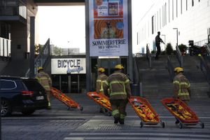 Kl. 17.35 fik Københavns Politi de første meldinger om skyderi i shoppingcentret Field's. Kl. 17.48 blev en 22-årig mand anholdt. Vidner beretter om 13 rystende minutter.