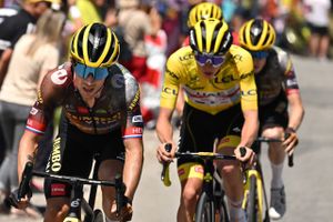 Primoz Roglic er ikke længere en del af feltet i Tour de France, bekræfter Jumbo-Visma.