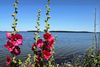 Nakskov Fjord byder på stille glæder, mange øer og flotte udsigter.
