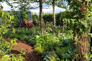 Om få dage åbnes porten til CPH Garden, det store haveshow, hvor du kan opleve tidens trends og blive inspireret til nye tiltag i din egen have eller altan. 