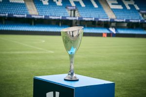 Pokalfinalen mellem Randers FC og Sønderjyske handler om store penge – og store følelser.
