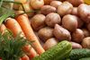 Hvordan får veganerspædbørn den rette ernæring, det spørgsmål efterlyser Dansk Vegetarisk Forening svar på. Men ifølge en en ekspert og myndigheder, bør børn ikke spise vegansk kost. Foto: Arkiv.