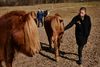 De to islandske heste Öri og Arfur er Thomas og Susan Elmkjærs egne. De to andre – Lettfeti og Brandari – er opstaldet hos dem. Foto: Mikkel Berg Pedersen.