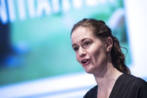 Kystsikring og digebyggeri er ikke løsningen på fremtidens stigende vandstand, mener Maria Reumert Gjerding