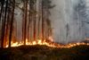 Foto: Mats Andersson/AP