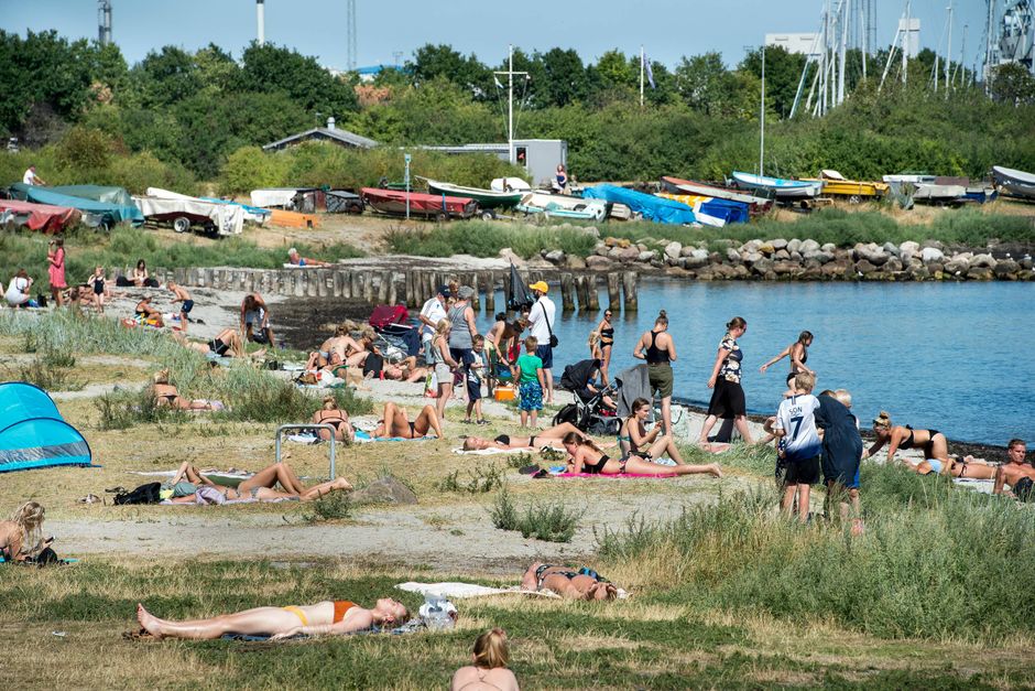 Artiklens øverste billede