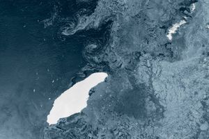 Isbjerget A-68A har kurs mod den britiske ø Syd Georgien, hvor det kan bringe tusindvis af sæler og pingviner i fare. Foto: European Space Agency