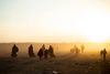 Siden begyndelsen af januar har 34.000 kvinder, børn og gamle forladt Baghouz, oplyste søndag en talsmand for SDF. Billedet af denne gruppe af børn og kvinder er fra den 6. marts. Foto: Delil Souleiman / AFP