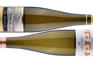 De klassiske tyske kabinett-vine skulle gå så grueligt meget igennem, før de fik den opmærksomhed, de fortjener. Nu oplever vintypen en sand renæssance, og vinene er ikke blevet mindre interessant at stikke snuden i med den vellykkede 2021-årgang.