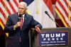 Som ægtemand og far blev jeg stødt over Donald Trumps ord, siger Mike Pence. Foto: Gerry Broome/AP