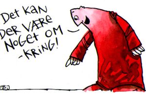Man skal ikke lytte længe til de elektroniske medier for at konstatere, at strukturelle fejl, banale fejl og sproglige uvaner står i kø.