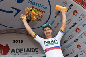 Peter Sagan kørte først over stregen på 3. etape af Tour Down Under , der bød på 146,2 hårde kilometer i det australske landskab. Foto: Brenton Edwards/AFP