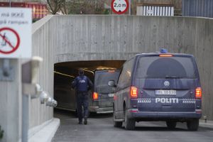 Livstidsfangen Peter Madsen erkendte sig tirsdag skyldig i fangeflugt og trusler mod betjente.