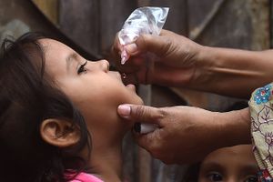 Myndighederne i Israel, New York og London har i indsatsen for at udrydde virussen fundet beviser for, at polio spreder sig. En utilsigtet effekt af vaccinen resulterer i, at virussen er kommet i omløb igen. 