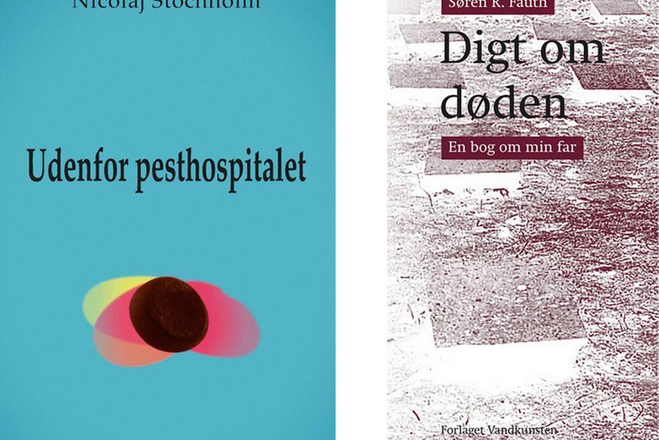 Artiklens øverste billede