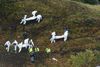 To af Chapecoenses spillere skulle være blandt de op til fem, som overlevede flystyrtet. Foto: Luis Benavides/AP