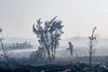 Det knastørre vejr betyder, at naturen lettere antændes. Hele 449 gange skete det i juni. Her bekæmper en brandmand en brand på Randbøl Hede i slutningenaf maj. Foto: Michael Drost-Hansen/Ritzau Scanpix