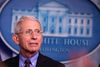 Direktør for National Institute of Allergy and Infectious Diseases Anthony Fauci Foto: Alex Wong/Getty Images/AFP