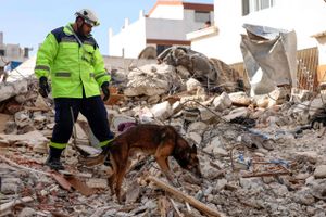 Dødstallet efter jordskælvet i Tyrkiet og Syrien natten til mandag fortsætter med at stige.