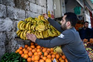 Mindst syv syrere ventes at blive deporteret fra Tyrkiet for at lægge banan-vittigheder på nettet. Sagen udspringer af den voksende modvilje mod udlændinge blandt tyrkere.