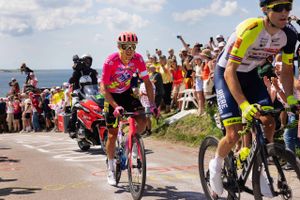 De danske fans gjorde alt for at sætte deres præg på 2. etape i Tour de France på samme måde som en af landets cykelhelte, der sejrede på bakkerne.