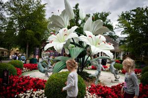 Tivoli Friheden er i hele juli måned fyldt med blomster, da forlystelsesparken i denne periode afholder Danmarks største Blomsterfestival. Foto: Brian Karmark