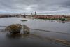 Vinteren har været våd frem for kold - det har haft konsekvenser som her i Ribe. Foto: Casper Dalhoff