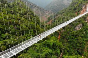 At gå en tur på verdens længste glasbro i Son La-provinsen i Vietnam egner sig bestemt ikke til turister, der lider af højdeskræk. Med betagende udsigt til høje bjerge og frodig regnskov venter der en særegen oplevelse, der kan tage pusten fra enhver.