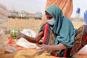 Oxfam IBIS og Red Barnet anslår, at der i landene på Afrikas Horn – Etiopien, Kenya og Somalia – som er blandt de hårdest ramte områder, i gennemsnit dør en person hvert 48. sekund af sult, skriver indlæggets skribenter. Arkivfoto: World Food Programme 