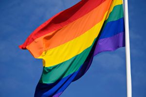 Fem mænd blev natten til lørdag anholdt for at sprede diskriminerende budskaber mod LGBTQ+-personer forud for Sønderborg Pride Parade.