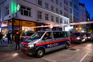 En eller flere bevæbnede terrorister affyrede mindst 100 skud mod barer og restauranter i  Wiens centrum mandag aften.