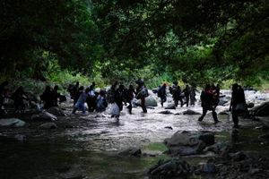 I år har 151.582 migranter sat livet på spil ved at krydse Darién-junglen, som forbinder Panama og Colombia.