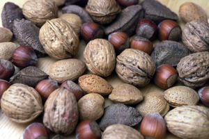 Megafood Aps tilbagekalder produktet nødder i honning 420g, da en kontrol har påvist et højt indhold af giftstoffet aflatoksin.