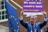 Lederen af Uafhængighedspartiet (Ukip), Nigel Farage, er en af frontfigurerne i kampen for brexit. Foto: Alastair Grant/AP