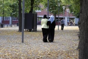 Når mere end hver femte mand med ikkevestlig baggrund svarer, at homoseksualitet ikke bør være accepteret i samfundet, er der grund til bekymring, mener regeringen og Socialdemokratiet.