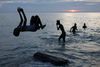 En ung mand laver en saltomortale, imens han leger med sine venner på Cora Eva Beach i Dobo, Indonesien.
