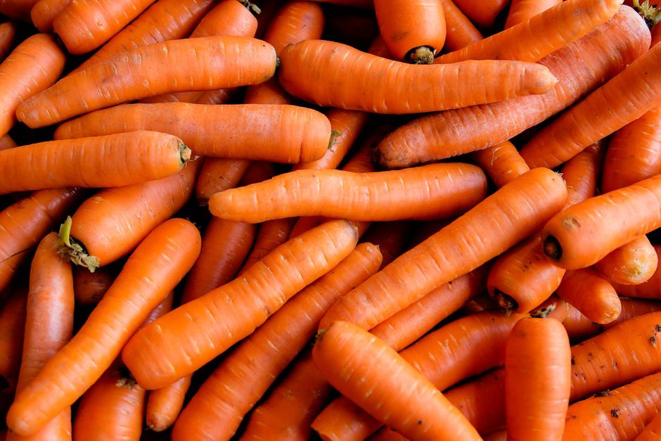 Forskere håber gulerødder kan